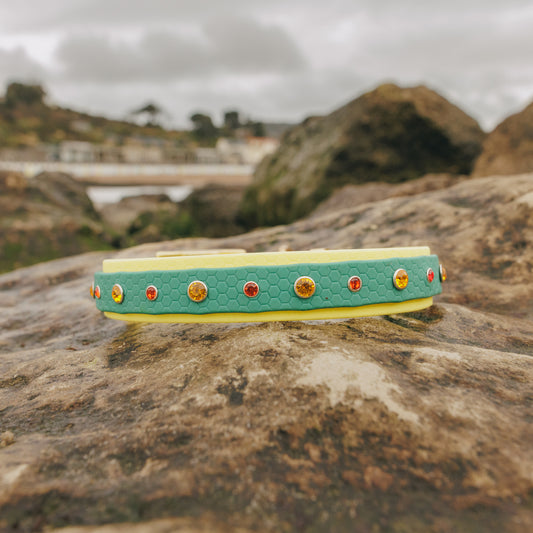 25mm Custom Adventure-Proof Rhinestone Dog Collar