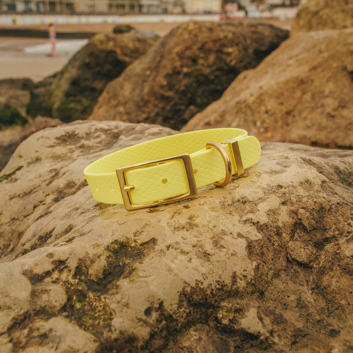 25mm Everyday Dog Collar, Lemon Yellow – Reliable, Waterproof & Adventure-Ready