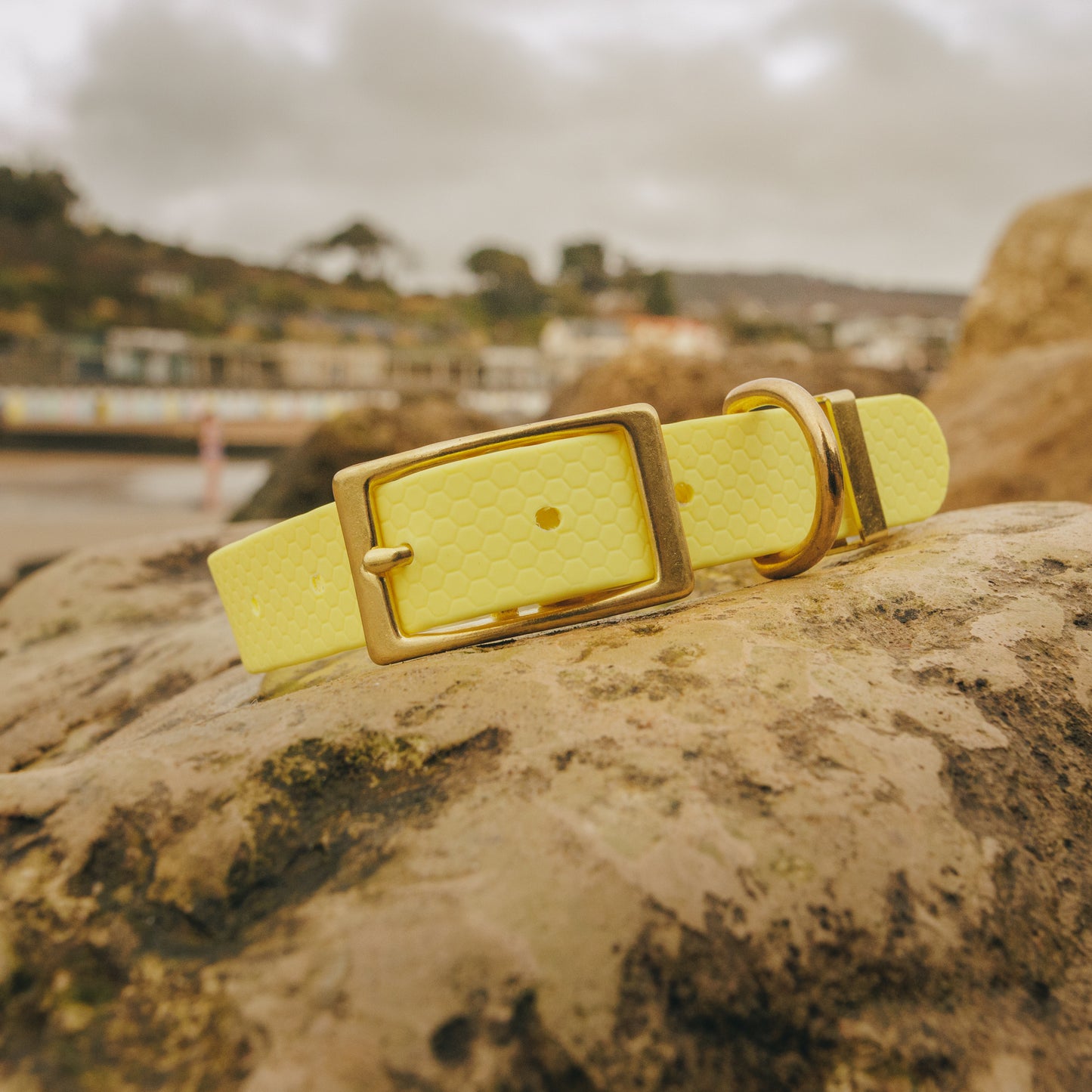 25mm Everyday Dog Collar, Lemon Yellow – Reliable, Waterproof & Adventure-Ready
