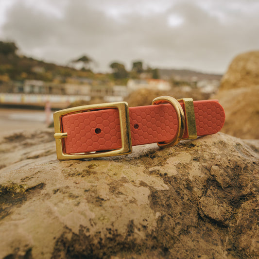 25mm Everyday Dog Collar, Burnt Apricot – Reliable, Waterproof & Adventure-Ready