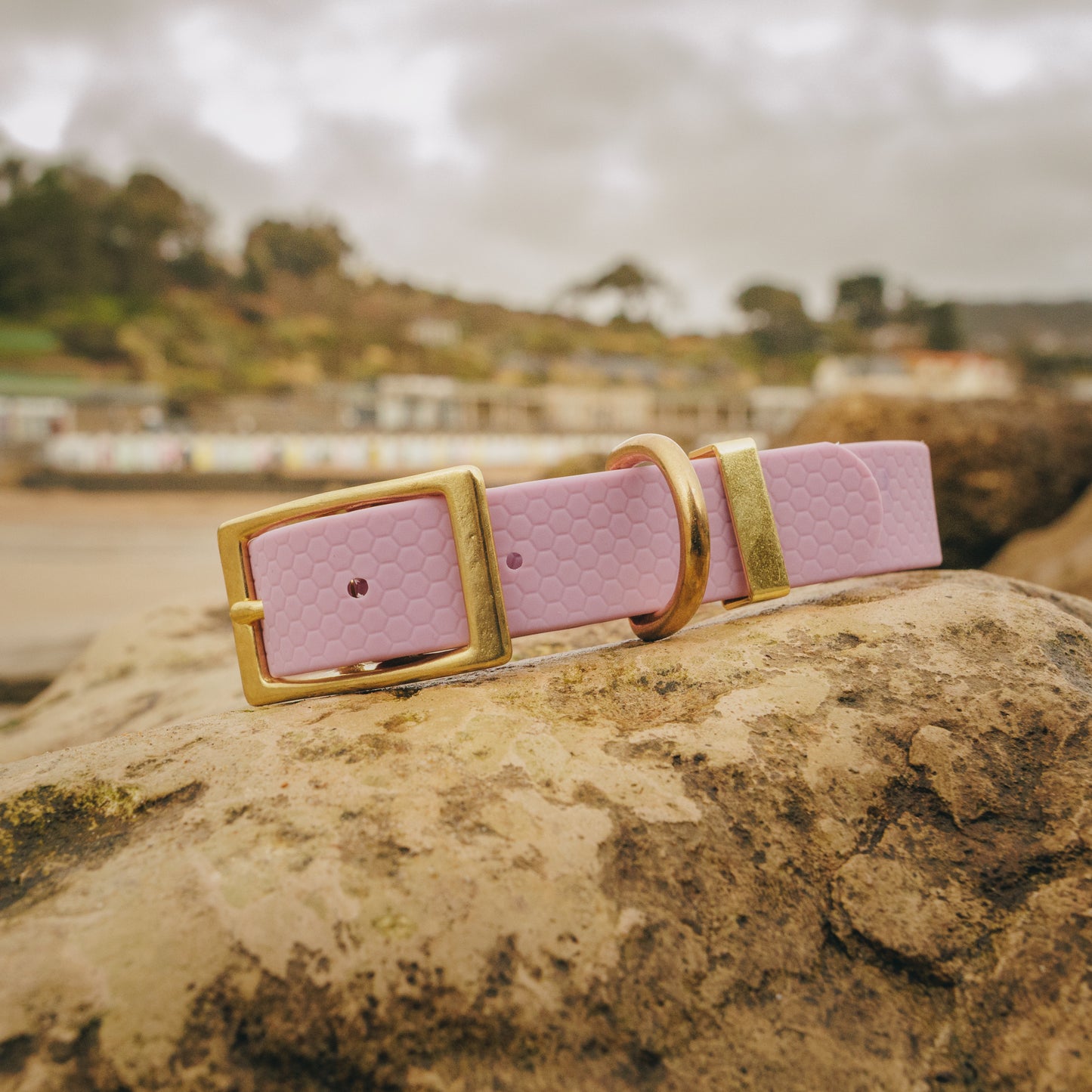 25mm Everyday Dog Collar, Lavender Haze – Reliable, Waterproof & Adventure-Ready