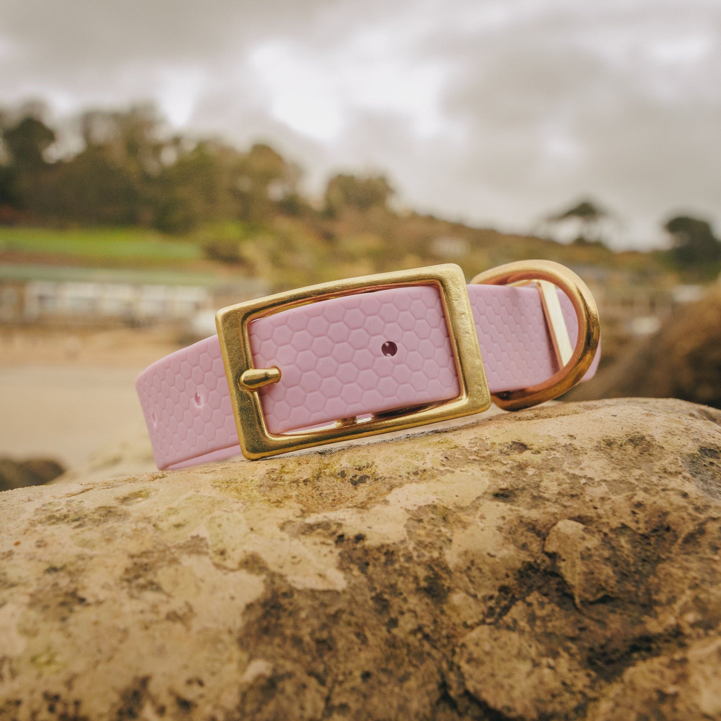 25mm Everyday Dog Collar, Lavender Haze – Reliable, Waterproof & Adventure-Ready