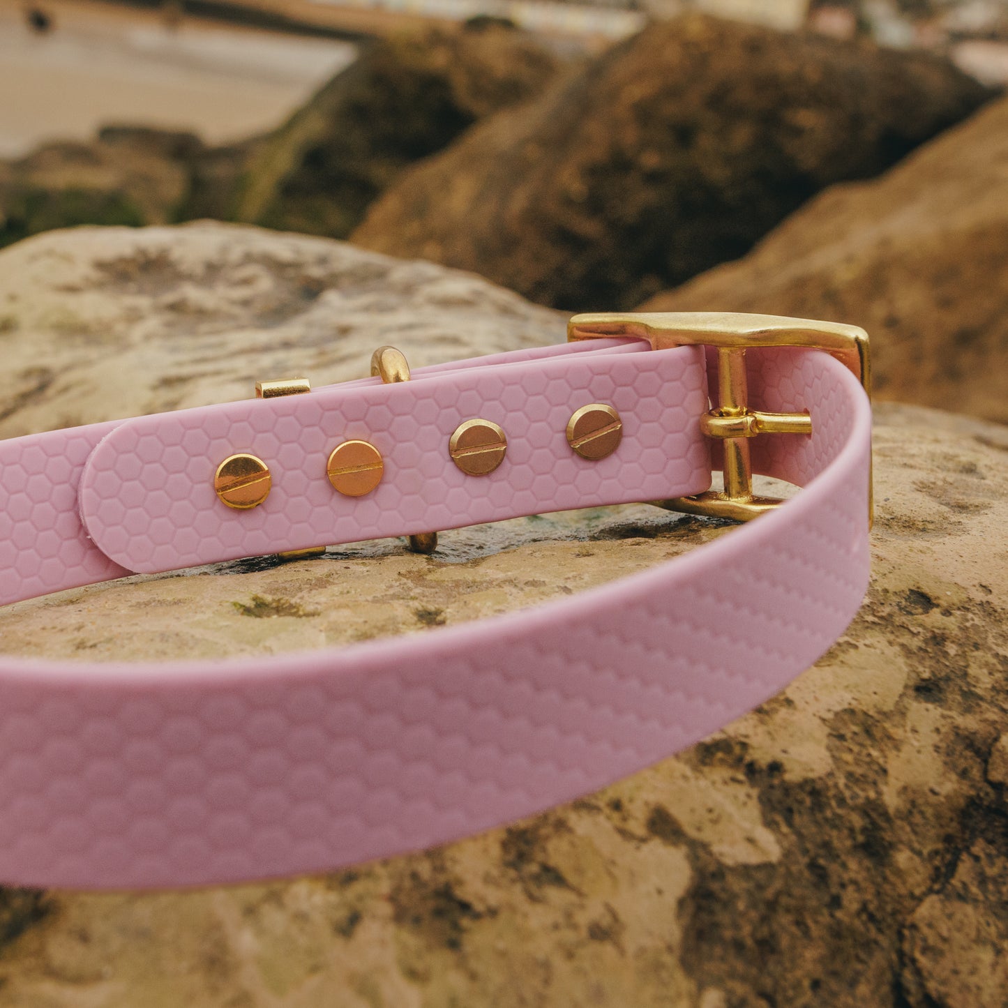 25mm Everyday Dog Collar, Lavender Haze – Reliable, Waterproof & Adventure-Ready