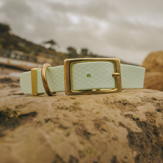 25mm Everyday Dog Collar, Fresh Mint – Reliable, Waterproof & Adventure-Ready