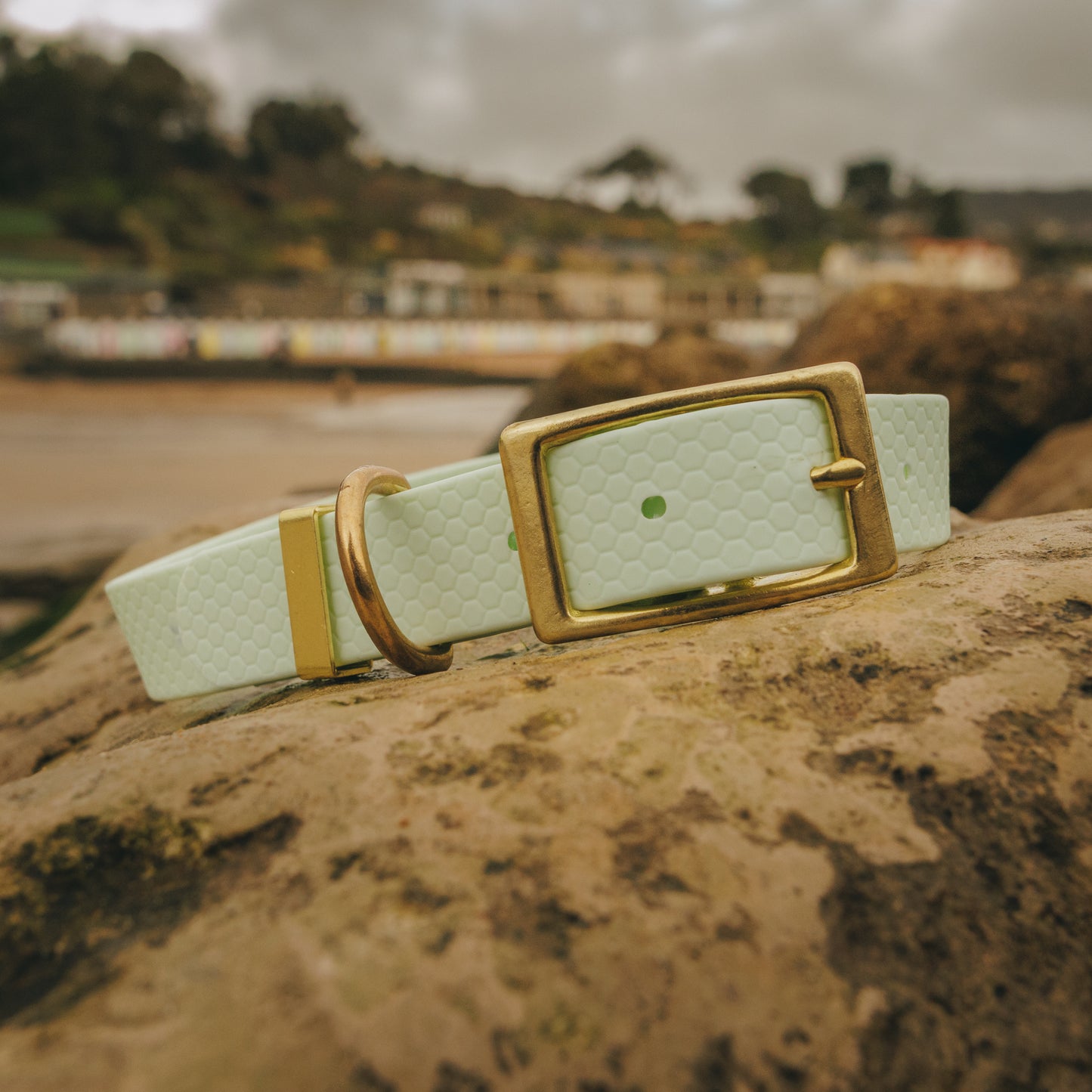 25mm Everyday Dog Collar, Fresh Mint – Reliable, Waterproof & Adventure-Ready
