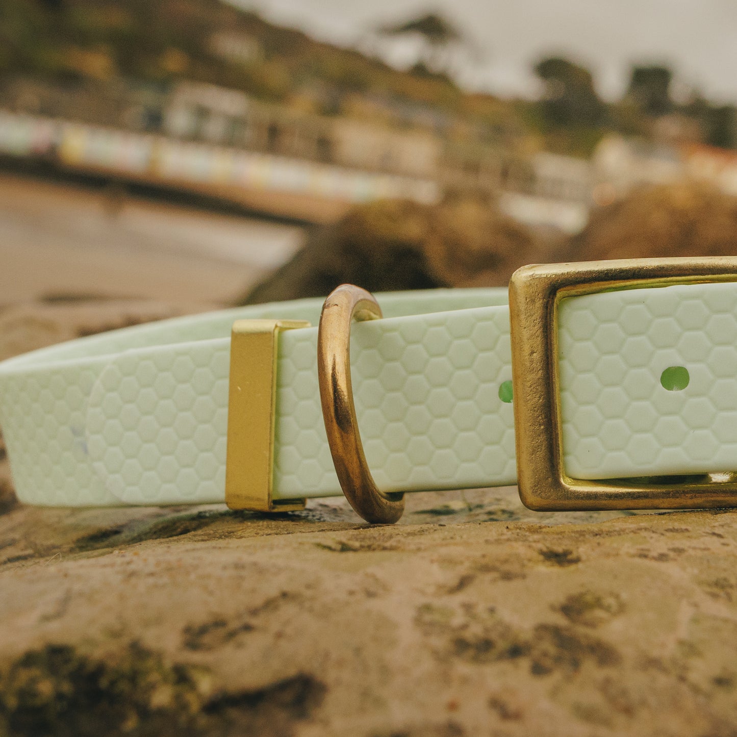 25mm Everyday Dog Collar, Fresh Mint – Reliable, Waterproof & Adventure-Ready