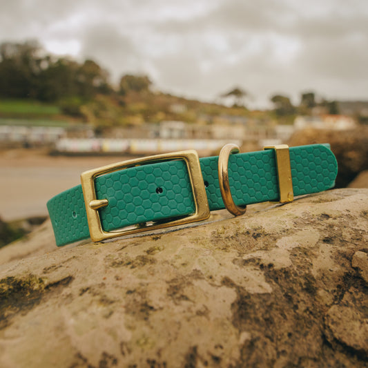25mm Everyday Dog Collar, Hunter Green – Reliable, Waterproof & Adventure-Ready