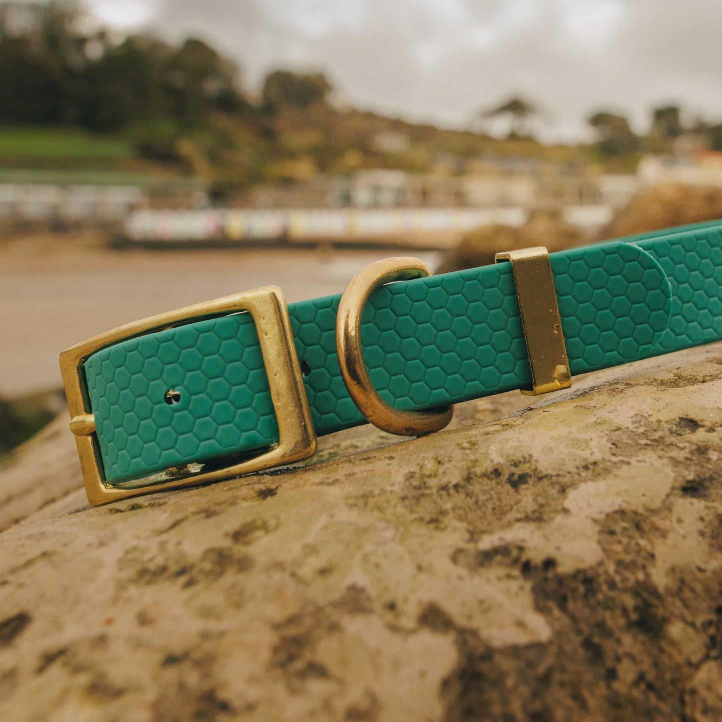 25mm Everyday Dog Collar, Hunter Green – Reliable, Waterproof & Adventure-Ready