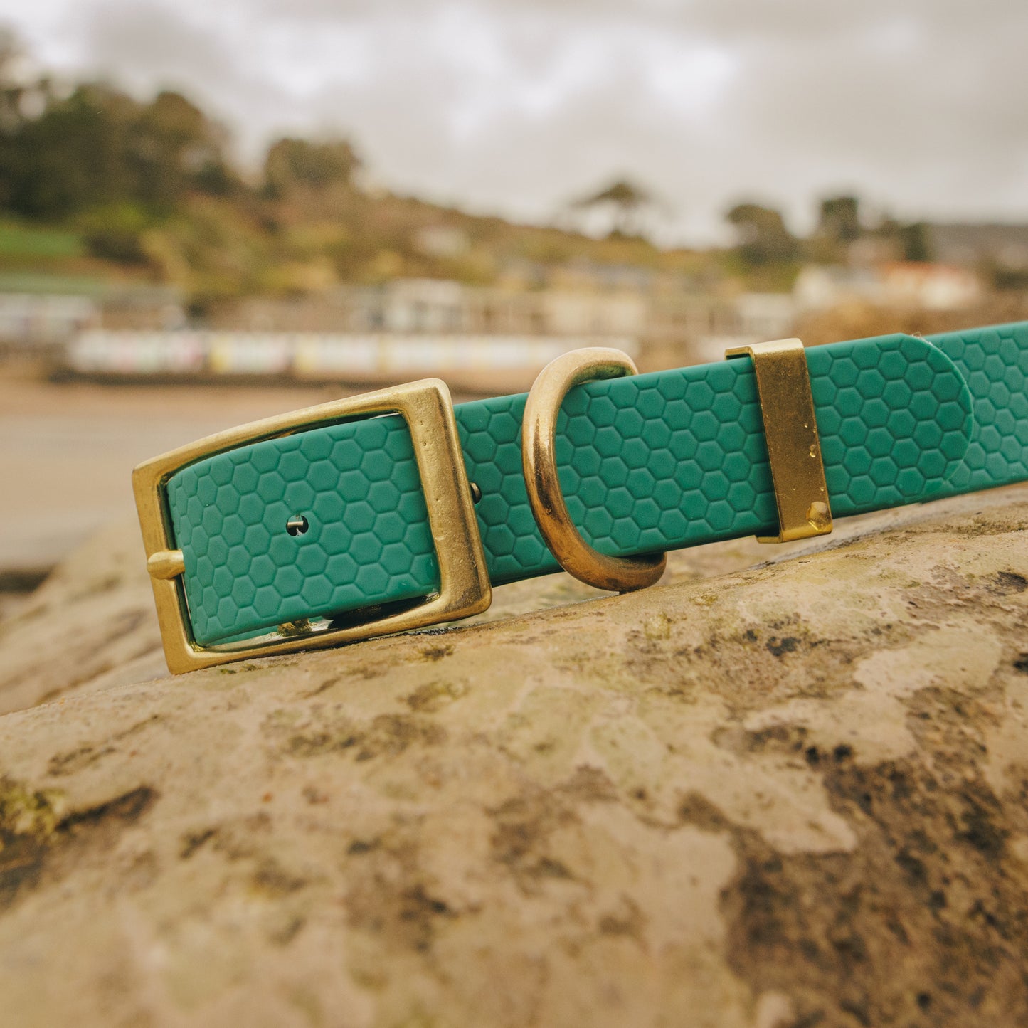 25mm Everyday Dog Collar, Hunter Green – Reliable, Waterproof & Adventure-Ready