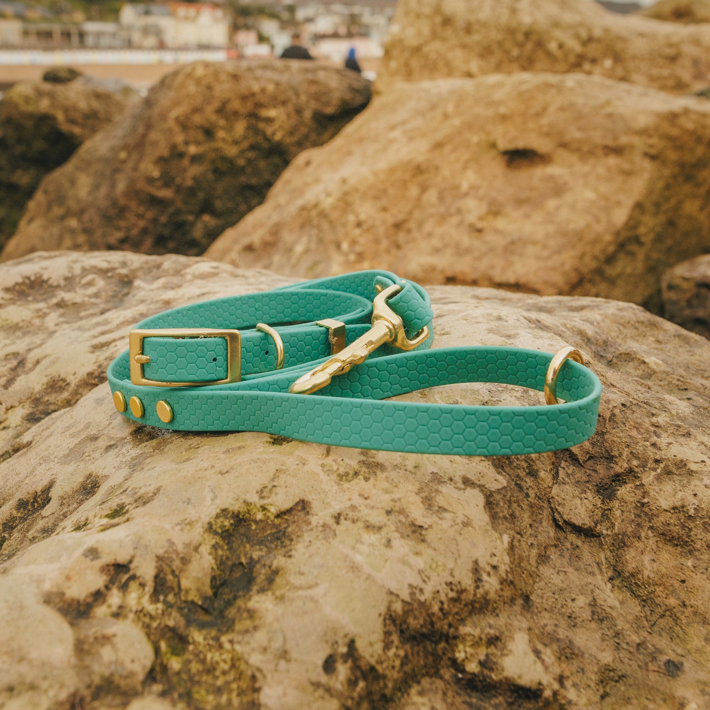 XS (8-12") Everyday Adventure Set | Waterproof Dog Collar & Lead Bundle (16mm)