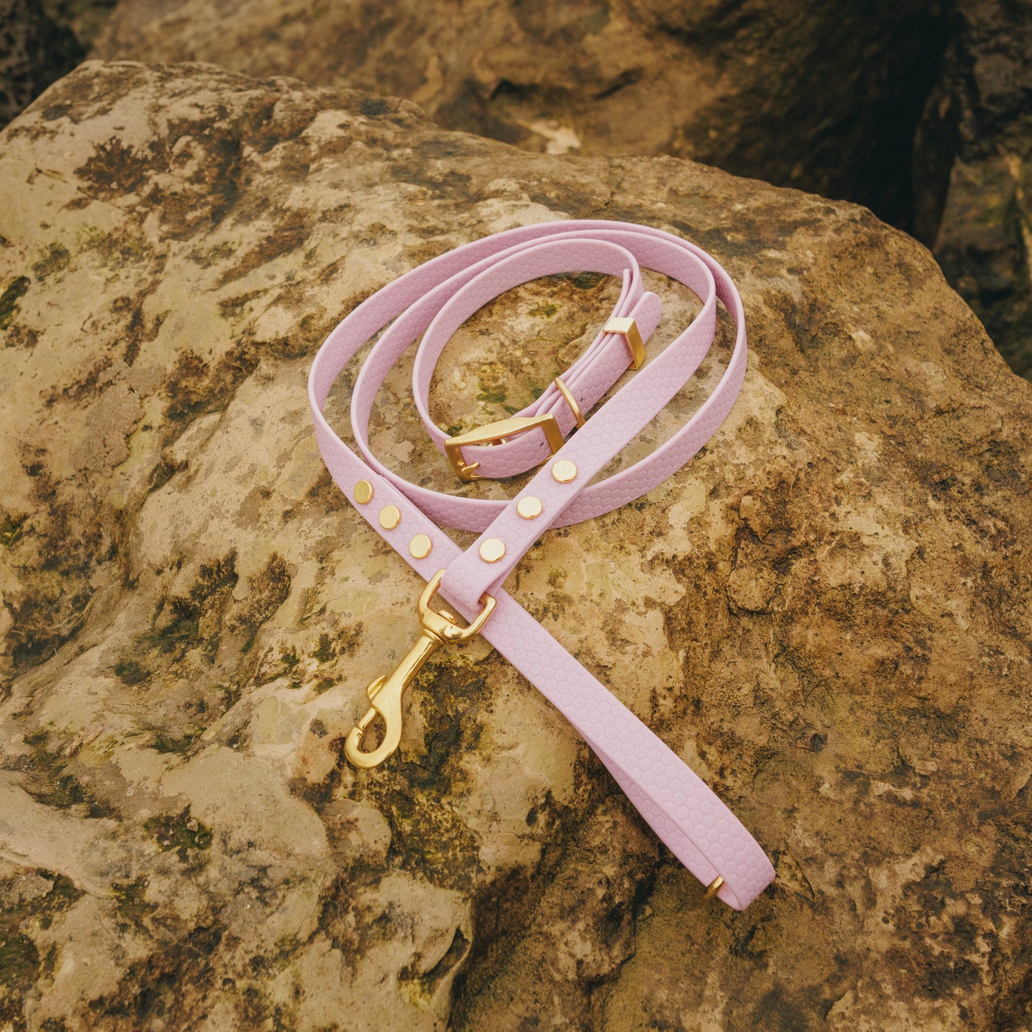 XS (8-12") Everyday Adventure Set | Waterproof Dog Collar & Lead Bundle (16mm)