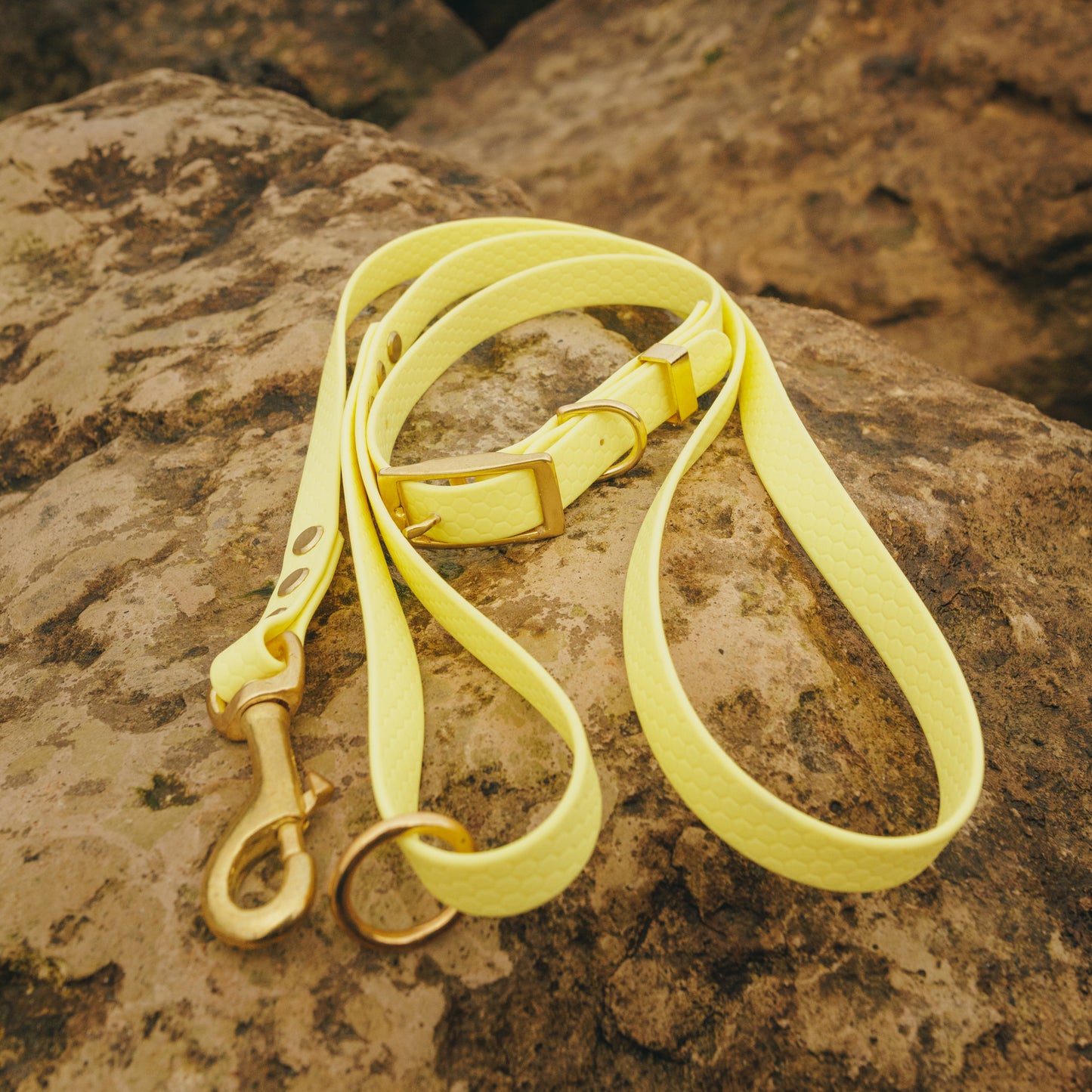 XS (8-12") Everyday Adventure Set | Waterproof Dog Collar & Lead Bundle (16mm)