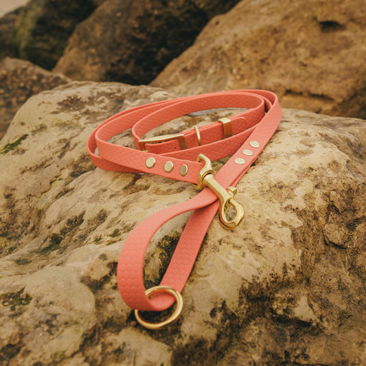 XS (8-12") Everyday Adventure Set | Waterproof Dog Collar & Lead Bundle (16mm)