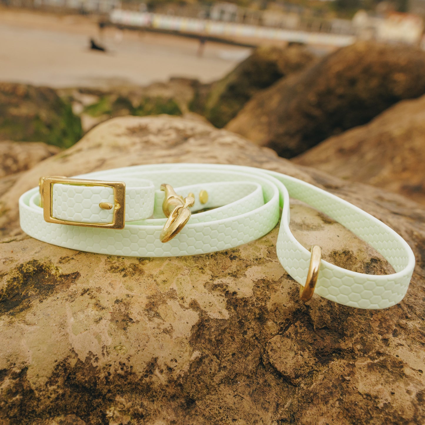 XS (8-12") Everyday Adventure Set | Waterproof Dog Collar & Lead Bundle (16mm)