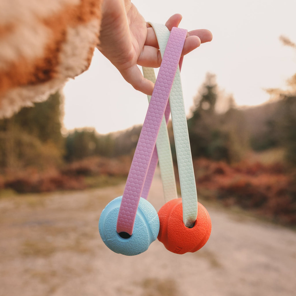 Pocket Chuckit Tuggie - Blue