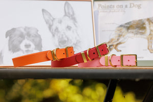 Three dog collars in Burnt Orange, Chilli Red, and Baby Pink with brass hardware, arranged on a table in front of dog-themed framed prints.