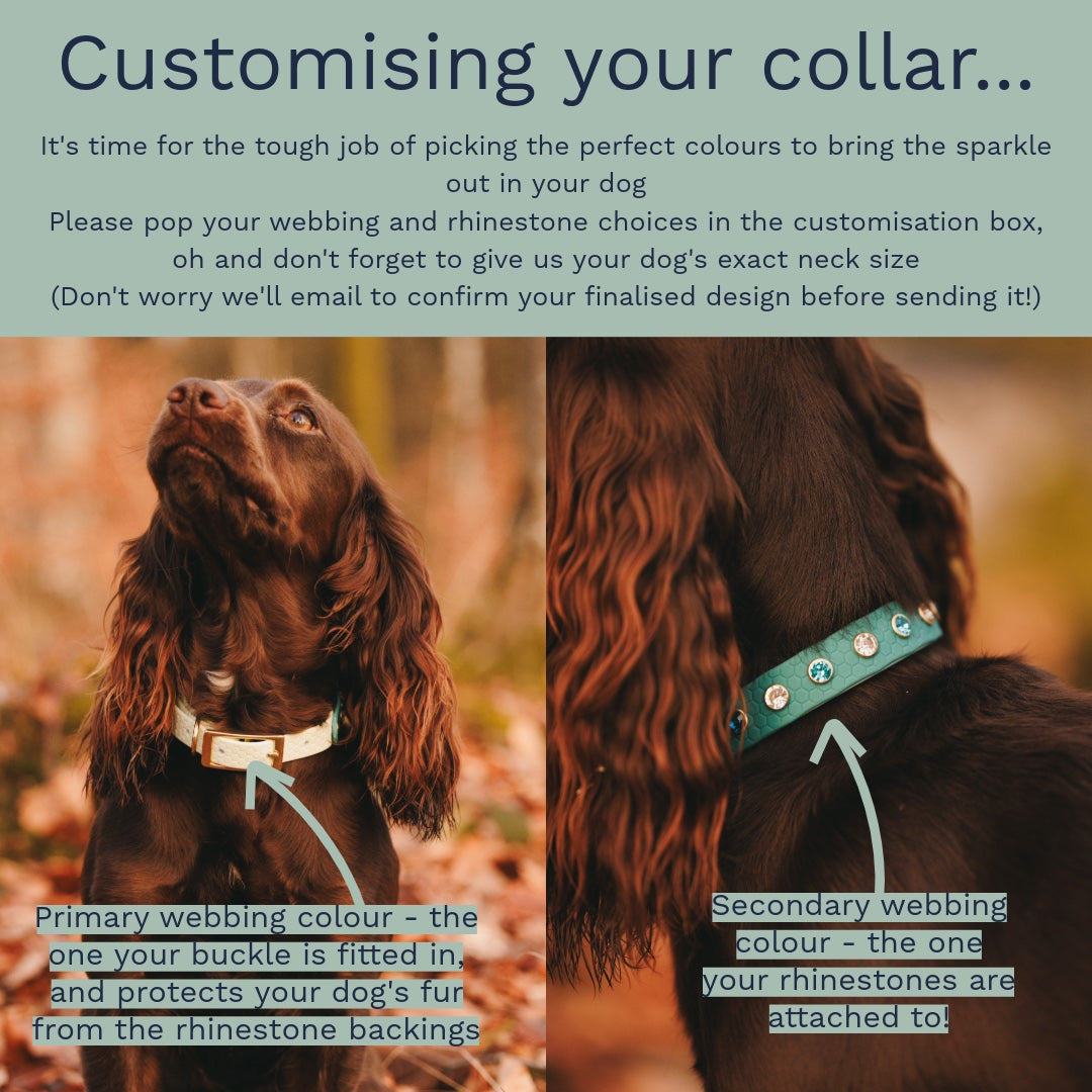 25mm Custom Adventure-Proof Rhinestone Dog Collar